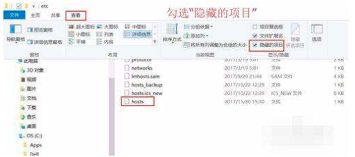 网站使用了cdn,如何让本地打开的时候使用源ip?
