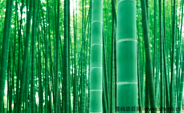 网站就是人生,坚持总会有阳光。