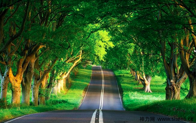 鸡汤一碗,与君共勉。